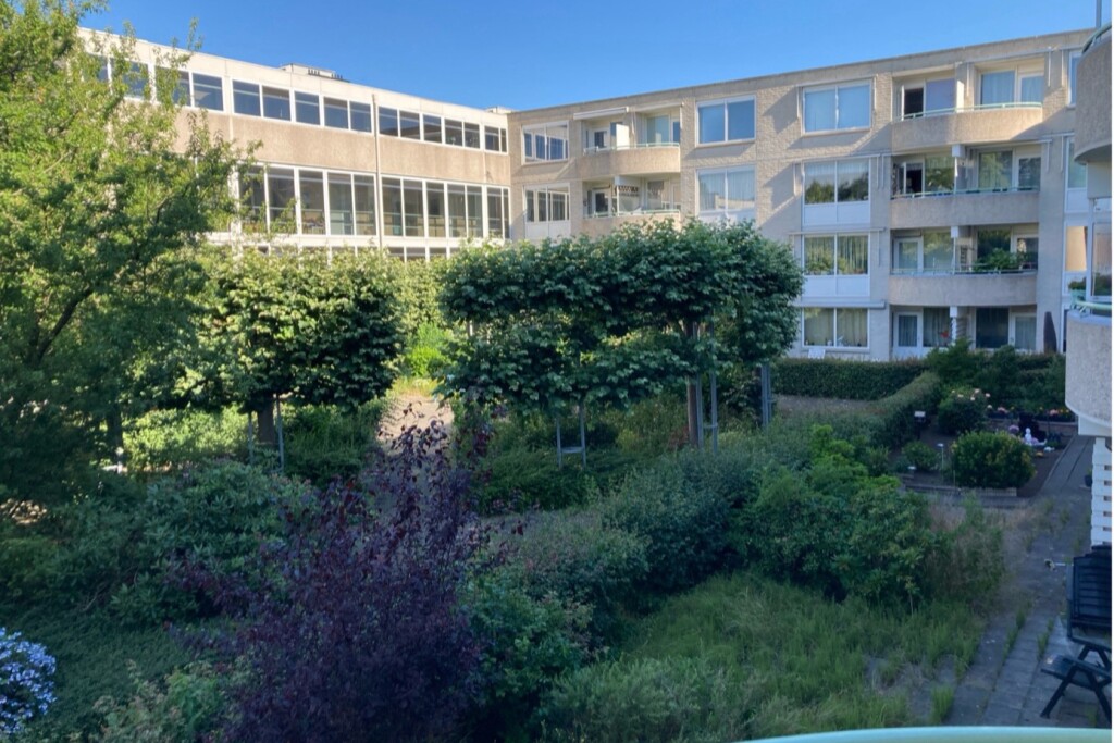 Aantal woningen in Amsterdam voor ouderen is stevig gegroeid – en dat is ook goed nieuws voor jongere generaties